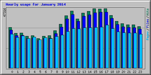 Hourly usage for January 2014