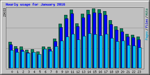 Hourly usage for January 2016